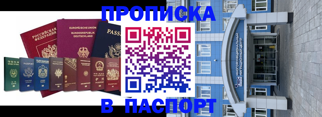 прописка штамп в Бородино